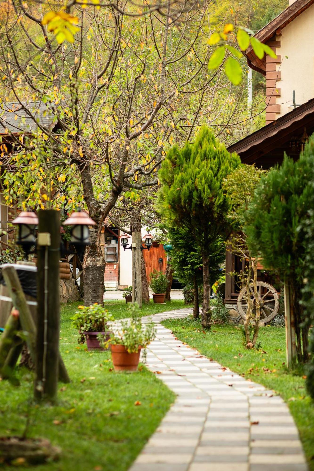 Doğa Köşkü Abant Bungalow Evleri Bolu Dış mekan fotoğraf